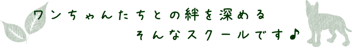 ワンちゃんたちとの絆を深める　そんなスクールです♪