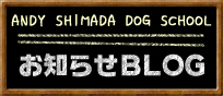 ANDY SHIMADA DOG SCHOOL@m点BLOG