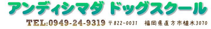 �A���f�B�V�}�_ �h�b�O�X�N�[�� TEL�F0949-24-9319 ��822-0031 �����������s�A��3070